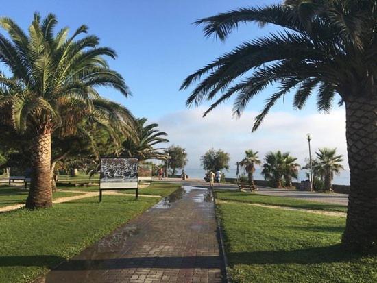 Appartement Avec Piscine Argelès-sur-Mer Esterno foto